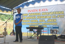 Panen Raya Jagung Hibrida Nusantara